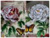 DSC04586-COLLAGE.thumb.jpg.d5bdfb4d875d81adb4cb7feaf43c482f.jpg