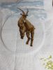 DSC07527.thumb.JPG.e6c29411c246a82ca245ed9fa5a9dc89.JPG