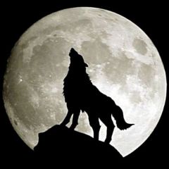moonwolf.art