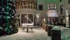 IMG-20210117-WA0006.thumb.jpg.98121f897cfb8829df0bc547197cd2d9.jpg