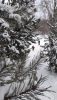 IMG-20210117-WA0082.thumb.jpg.c69fdcf792a6d579965f2df2b54b3593.jpg
