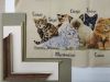 IMG-20210204-WA0013.thumb.jpg.09287fa491165ec47364f6d61461f7f5.jpg