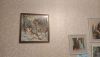 IMG-20210222-WA0001.thumb.jpg.e63fd181696ccd9b0e1996e97798c3d4.jpg