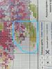 IMG-20210222-WA0003.thumb.jpg.702b7deafaf4d79e519c7c0c1de2f21f.jpg