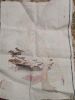 IMG-20210222-WA0008.thumb.jpg.b9fbdb7dba66589fabdf81ceb92deffb.jpg