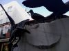 IMG_20201007_163608.thumb.jpg.7c7f2fe4f9cc073756c09831222dd6ae.jpg