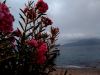 IMG_20201008_184919.thumb.jpg.f9d85ea9e8ee15174b7d04a993dac83f.jpg