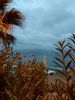 IMG_20201008_184946.thumb.jpg.5224f4d6328260e5851ef826feab03f8.jpg