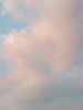 IMG_20201009_071126.thumb.jpg.21c53fb522660b70479db2438ae0bce3.jpg