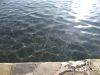 IMG_20201009_091301.thumb.jpg.51b0ea1d299f73463f0466804f541a86.jpg