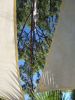 IMG_20201010_101729.thumb.jpg.b750a35cb1f2d7fc72c00b11cb5a4bf7.jpg