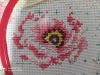 IMG_20210107_212636_compress7.thumb.jpg.fa9daa2f2fc23bdb579f3c561905d644.jpg