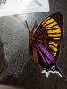 IMG_20210123_212558_compress57.thumb.jpg.db6e6b3cfa47f29349bdc6cf364747c8.jpg