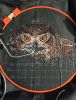 IMG_20210129_163820.thumb.jpg.2cc3eb952aa35cee157bf4da7c687683.jpg