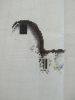 IMG_20210130_143312.thumb.jpg.e438dcc93111264531dbc78ddcb1bde8.jpg