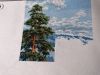 IMG_20210207_222554.thumb.jpg.be10edacc6d2ebcbd3094f462f0053d3.jpg