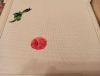 IMG_20210212_221046.thumb.jpg.d1386a84caaba42f7be175e504ccbc2b.jpg