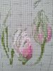 IMG_20210213_111725.thumb.jpg.209cf0d27a210008ca68bf69a0fd739b.jpg