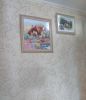 IMG_20210220_114311.thumb.jpg.b1ecea12d108d1fb3380c3d2bd18f71b.jpg