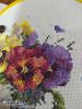 IMG_20210221_021428_compress35.thumb.jpg.dfa949b86b87b21586a411afc113843c.jpg