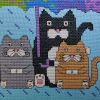 IMG_20210221_220111.thumb.jpg.209211c8313e61e0246777e313d8f05f.jpg