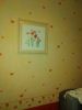 IMG_20210222_184323.thumb.jpg.4b08c43baf6fcb0bd6285c917efe5eae.jpg