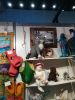 IMG_20210225_135820.thumb.jpg.b40053bf3d03dd23b4ddb1ea16f97d60.jpg