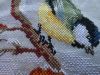 P1020015.thumb.JPG.c9aea6c7a5deb2e2aca7d1172cf81162.JPG