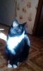 hZ47HfIBtQs.thumb.jpg.fe50193f4676f379be59aebbd6f464cf.jpg