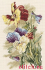 image.thumb.png.415441e97a87a64110cb7b3c171bace0.png