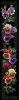 image.thumb.png.5dcd59890f0fbe8c851c1418ec1a3949.png