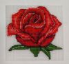 010.thumb.jpg.0e24d482c29c86a6120512b4b11417a6.jpg