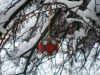1013099756_.thumb.JPG.87bdb4d7da5d9da3fe298418cbd7e368.JPG