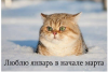 1127893217_KittyinMarch.thumb.png.d72ecb73544a06ca09db7200ab349419.png
