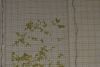 1378384922_3_.thumb.JPG.2302f6f70c943b63ad9de1f24c0c6caf.JPG