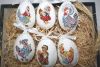 La grande histoire des poulettes