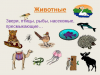 1770689724_unnamed(1).thumb.png.6f6d68fec1ef12dc22b696ec51e53ef8.png