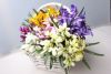 full_podsnegniki-fioletovye-buket-30sm-9963i6 (1).jpeg