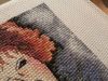 2.thumb.jpg.5b081ceff21dab51e40014acbf4daf94.jpg