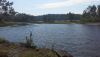 20160617_123946.thumb.jpg.5b068090b57c64fbe517a64f6c8e289f.jpg