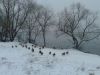 20191204_160109.thumb.jpg.237dd4117fdec95dacefbf7412c8ac12.jpg