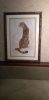 20210227_114518.thumb.jpg.e5edc71ad69631aa67c89ec63c6523b2.jpg