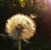 20210313_095924.thumb.jpg.3d6bb387d470962845e8837025c06a76.jpg
