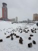 20210313_131520.thumb.jpg.1eabd3c7a2e2efb39da623a0fbe2b181.jpg