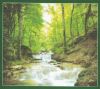 22158660_ForestStream.thumb.jpg.e5d3d70a9d50e0edd74ba04437407959.jpg