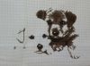 242276005_2021-03-0422_42_10.jpg.67b76de87e091e1251b51982e1555254.thumb.jpg.7be072dd57c0da95f0c3382d57c2ba08.jpg