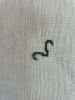 5441192F-F782-43F6-9518-64DC6C392CD6.thumb.jpeg.0d3156d3a9d54559accc3fdd14b8d097.jpeg
