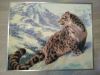 641317227_.thumb.jpg.fe8ce7eee3d20f2a7a1b38e06399c05b.jpg