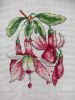 Anchor PCE 159, Fuchsia