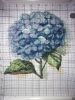 82078DE2-D9BB-41F7-86A5-4E886A9E6BA0.thumb.jpeg.fa4308a11fd926d01496abb031fc8206.jpeg